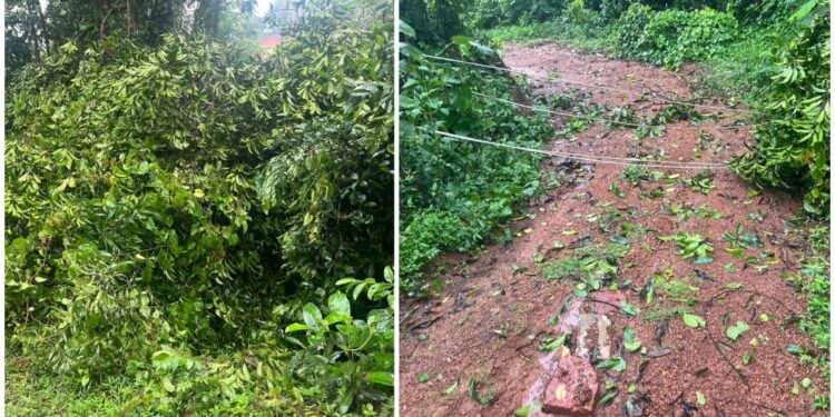 ಸೂತ್ರಬೆಟ್ಟು : ಮರದ ಗೆಲ್ಲು ಬಿದ್ದ ಹಿನ್ನಲೆ ರಸ್ತೆಗೆ ಅಡ್ಡಲಾಗಿ ಬಿದ್ದ ವಿದ್ಯುತ್ ತಂತಿ!