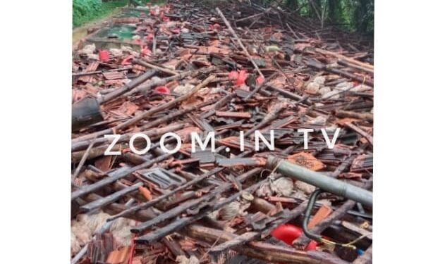 ವಿಟ್ಲ : ಕುಸಿದು ಬಿದ್ದ ಶೆಡ್ : ಸಾವಿರಾರು ಕೋಳಿಗಳು ಸಾವು