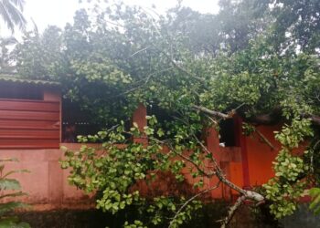 ವಿಟ್ಲ : ಶ್ರೀ ಭಗವತಿ ಕ್ಷೇತ್ರದ ಗೋಪುರಕ್ಕೆ ಮರ ಬಿದ್ದು ಹಾನಿ!