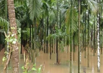 ಬಂಟ್ವಾಳ : ನೇತ್ರಾವತಿ ನದಿ ನೀರಿನ ಮಟ್ಟ ಏರಿಕೆ : ನದಿ ಪಾತ್ರದ ಗ್ರಾಮಗಳ ತೋಟಗಳಿಗೆ ನೀರು