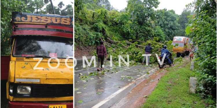 ಮಿತ್ತೂರು : ರಸ್ತೆಗೆ ಅಡ್ಡಲಾಗಿ ಬಿದ್ದ ಮರ : ಎಂ.ಡಿ.ಎಸ್. ಸಂಸ್ಥೆಯ ಲಾರಿಗೆ ಹಾನಿ : ಚಾಲಕನ ಸಮಯಪ್ರಜ್ಞೆಯಿಂದಾಗಿ ತಪ್ಪಿದ ಅನಾಹುತ!
