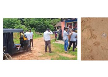 ಕಬಕ : ಕುಳ ಪ್ರದೇಶದಲ್ಲಿ ಚಿರತೆ ಪ್ರತ್ಯಕ್ಷ : ಆತಂಕದಲ್ಲಿ ಸ್ಥಳೀಯರು!