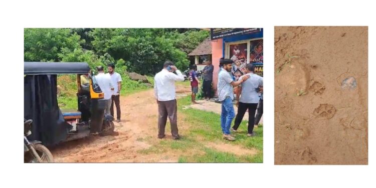 ಕಬಕ : ಕುಳ ಪ್ರದೇಶದಲ್ಲಿ ಚಿರತೆ ಪ್ರತ್ಯಕ್ಷ : ಆತಂಕದಲ್ಲಿ ಸ್ಥಳೀಯರು!