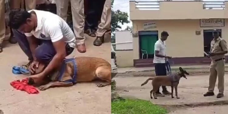 ಮೊಬೈಲ್​ನಲ್ಲಿ ಅಶ್ಲೀಲ ವಿಡಿಯೋ ನೋಡಿ ಬಾಲಕಿಯ ಅತ್ಯಾಚಾರ : ಕೊಲೆ : ಕೊನೆಗೂ ಸತ್ಯ ಬಿಚ್ಚಿಟ್ಟ ಅಪ್ರಾಪ್ತರು