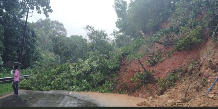 ಮಾಣಿ-ಮೈಸೂರು ಹೆದ್ದಾರಿಯ ಶೇಖಮಲೆಯಲ್ಲಿ ಗುಡ್ಡ ಕುಸಿತ : ಪುತ್ತೂರು-ಸುಳ್ಯ ಸಂಚಾರ ಬಂದ್!