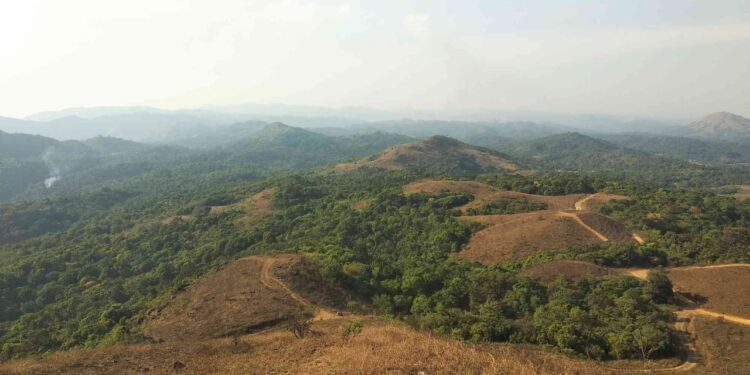 ಪಟ್ಲ ಬೆಟ್ಟಕ್ಕೆ ಪ್ರವಾಸಿಗರ ಪ್ರವೇಶ ನಿಷೇಧಿಸಿ ಅರಣ್ಯ ಇಲಾಖೆ ಆದೇಶ