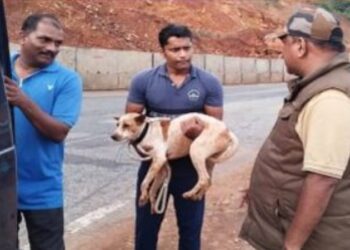 ಪೊಲೀಸ್​ ಜೀಪ್​ ಏರಿದ ಶಿರೂರು ಶ್ವಾನ ; ರೋದನೆಗೆ ಮರುಗಿದ ಜಿಲ್ಲಾ ಪೊಲೀಸ್​ ವರಿಷ್ಠಾಧಿಕಾರಿ