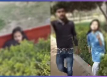 ಪೊದೆಯಲ್ಲಿ ಜೋಡಿ ಹಕ್ಕಿಗಳ ರೊಮ್ಯಾನ್ಸ್ ; ವೀಡಿಯೋ ವೈರಲ್!