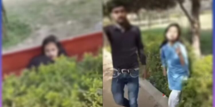 ಪೊದೆಯಲ್ಲಿ ಜೋಡಿ ಹಕ್ಕಿಗಳ ರೊಮ್ಯಾನ್ಸ್ ; ವೀಡಿಯೋ ವೈರಲ್!