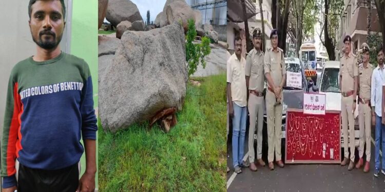 ಪೊಲೀಸರಿಗೆ ಸವಾಲ್ ಹಾಕಿ ಕಳ್ಳತನ : ಆರೋಪಿ ಅರೆಸ್ಟ್ ; ಕಾಡಿನ ಬಂಡೆ ಕೆಳಗೆ ಹೂತಿಟ್ಟಿದ್ದ ಚಿನ್ನ ವಶಕ್ಕೆ!