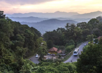 ವಯನಾಡ್​, ಶಿರೂರು ದುರಂತದ ಭಯ : ಆದೇಶ ಹೊರಡಿಸಿದ 24 ಗಂಟೆಯಲ್ಲೇ 69 ಎಕರೆ ಅರಣ್ಯ ಒತ್ತುವರಿ ತೆರವು!