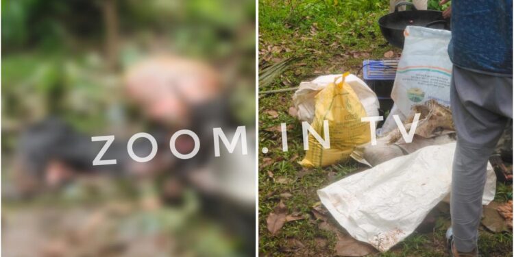 ಕಡಬ : ಮನೆಯೊಂದರ ಹಿಂಬದಿ ನಡೆಸುತ್ತಿದ್ದ ಕಸಾಯಿಖಾನೆಗೆ ಪೊಲೀಸ್ ದಾಳಿ : ಇಬ್ಬರು ವಶಕ್ಕೆ!