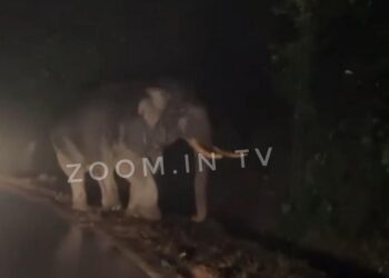 ಚಾರ್ಮಾಡಿ ಘಾಟಿಯಲ್ಲಿ ಮತ್ತೆ ಒಂಟಿ ಸಲಗ ಪ್ರತ್ಯಕ್ಷ!