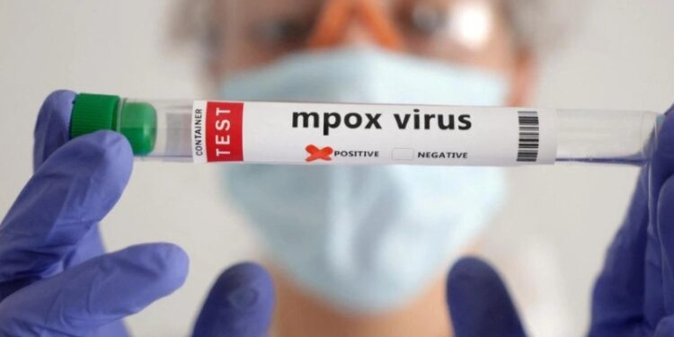 ಮಂಗನ ಕಾಯಿಲೆ ಆತಂಕ : ದಕ್ಷಿಣ ಕನ್ನಡ ಜಿಲ್ಲೆಯಲ್ಲಿ ವಿಶೇಷ ನಿಗಾ