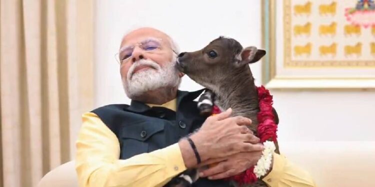 ಪ್ರಧಾನಿ ನಿವಾಸಕ್ಕೆ ವಿಶೇಷ ಅತಿಥಿಯ ಆಗಮನ!