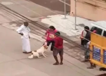 ಮಂಗಳೂರು : ಸಾಕು ನಾಯಿಯನ್ನು ತ್ಯಾಜ್ಯ ವಿಲೇವಾರಿ ವಾಹನಕ್ಕೆ ನೀಡಿದ ಮಾಲಕರು!