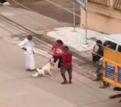 ಮಂಗಳೂರು : ಸಾಕು ನಾಯಿಯನ್ನು ತ್ಯಾಜ್ಯ ವಿಲೇವಾರಿ ವಾಹನಕ್ಕೆ ನೀಡಿದ ಮಾಲಕರು!