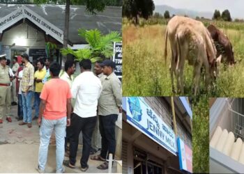 ನೂರಾರು ಕತ್ತೆ ಸೇಲ್‌ ಮಾಡಿದ್ದ ಕಂಪನಿಗೆ ಬೀಗ : ಬಂಡವಾಳ ಹೂಡಿದವರು ಕಂಗಾಲು!