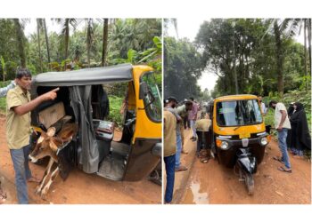 ಪುತ್ತೂರು : ಆಟೋ ರಿಕ್ಷಾದಲ್ಲಿ ಗೋ ಸಾಗಾಟ : ಬಜರಂಗದಳ ಕಾರ್ಯಕರ್ತರಿಂದ ತಡೆ : ಮಹಿಳೆಯರು ಸಹಿತ ಜಾನುವಾರು, ವಾಹನ ಪೊಲೀಸ್ ವಶಕ್ಕೆ!