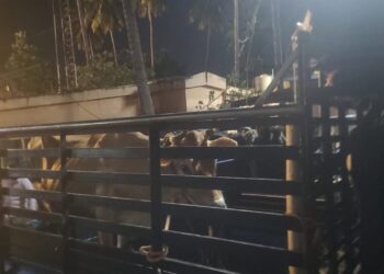 ಅಕ್ರಮ ಗೋ ಸಾಗಾಟ : ಸುಳ್ಯದಲ್ಲಿ ತಡೆದು ಪೊಲೀಸರಿಗೊಪ್ಪಿಸಿದ ಕಾರ್ಯಕರ್ತರು!