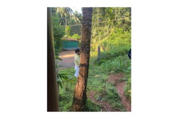 ವಿಟ್ಲ : ಜಾಗಕ್ಕೆ ಅಕ್ರಮ ಪ್ರವೇಶ ; ಅವಾಚ್ಯವಾಗಿ ಬೈದು, ಜಾತಿ ನಿಂದನೆ ಆರೋಪ : ಪ್ರಕರಣ ದಾಖಲು!