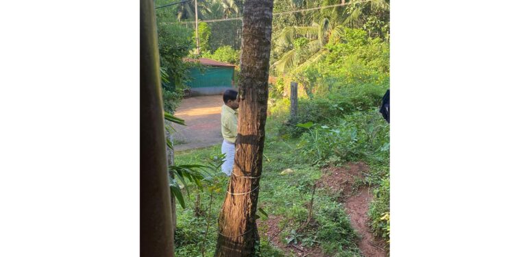 ವಿಟ್ಲ : ಜಾಗಕ್ಕೆ ಅಕ್ರಮ ಪ್ರವೇಶ ; ಅವಾಚ್ಯವಾಗಿ ಬೈದು, ಜಾತಿ ನಿಂದನೆ ಆರೋಪ : ಪ್ರಕರಣ ದಾಖಲು!