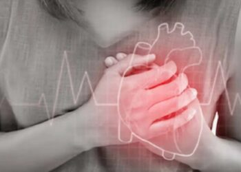 ಸೈಬರ್ ವಂಚಕರ ಸುಳ್ಳು ಕೇಳಿ ಹೃದಯಸ್ತಂಭನ ; ಶಿಕ್ಷಕಿ ಸಾವು