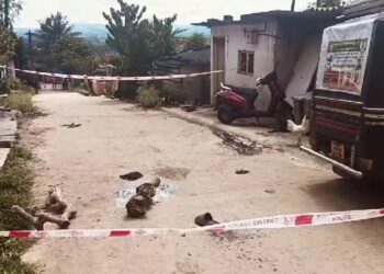 3 ಸಾವಿರ ಹಣಕ್ಕೆ ಬಿತ್ತು 2 ಹೆಣ : ಸ್ನೇಹಿತರನ್ನೇ ಕೊಂದ ಹಂತಕ