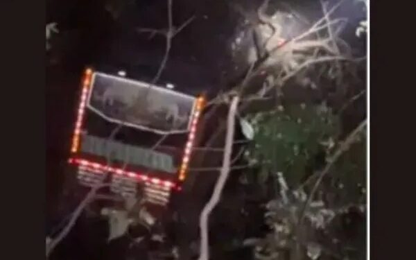 ಉಪ್ಪಿನಂಗಡಿ : ಪ್ರಪಾತಕ್ಕೆ ಬಿದ್ದ ಖಾಸಗಿ ಬಸ್ : ಚಾಲಕ ಸಾವು