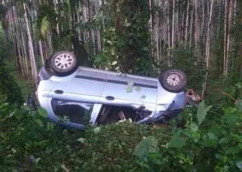 ನಿಯಂತ್ರಣ ತಪ್ಪಿ ತೋಟಕ್ಕೆ ಉರುಳಿಬಿದ್ದ ಕಾರು ; ಮಹಿಳೆ ಸಾವು