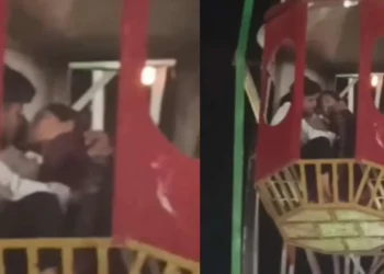 ಜೇಂಟ್‌ ವೀಲ್ಹ್‌ನಲ್ಲಿ ಕುಳಿತು ಲಿಪ್‌ ಲಾಕ್‌ ಮಾಡಿದ ಜೋಡಿ; ವೈರಲ್‌ ಆಯ್ತು ವಿಡಿಯೋ