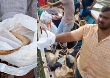 ಶಿರೂರು ದುರಂತ : ಗಂಗಾವಳಿ ನದಿಯಲ್ಲಿ ಮಾನವ ದೇಹದ 2 ಮೂಳೆ ಪತ್ತೆ