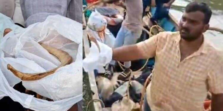 ಶಿರೂರು ದುರಂತ : ಗಂಗಾವಳಿ ನದಿಯಲ್ಲಿ ಮಾನವ ದೇಹದ 2 ಮೂಳೆ ಪತ್ತೆ