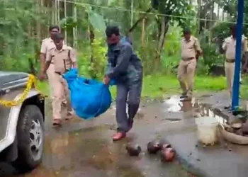 ಕಾಡುಕೋಣ ಹತ್ಯೆ; ಶಂಕಿತರು ಪರಾರಿ!