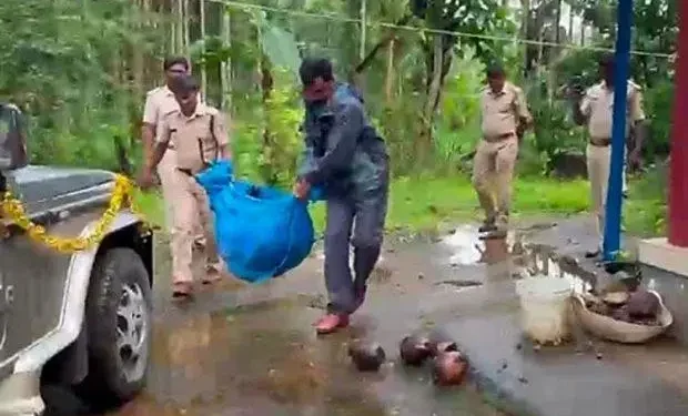 ಕಾಡುಕೋಣ ಹತ್ಯೆ; ಶಂಕಿತರು ಪರಾರಿ!