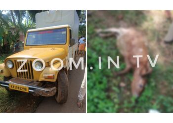 ಪುತ್ತೂರು: ಆಕ್ರಮ ಗೋ ಸಾಗಾಟ ತಡೆದ ಪೊಲೀಸರು: ಇಬ್ಬರು ಪರಾರಿ: ಕರು ಮೃತ್ಯು..!!!