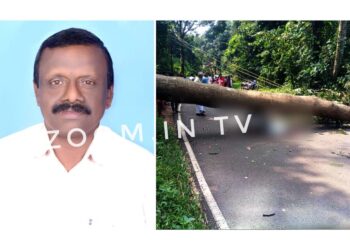 ಕಡಬ: ಚಲಿಸುತ್ತಿದ್ದ ಸ್ಕೂಟಿ ಮೇಲೆ ಮರ ಬಿದ್ದು ಸವಾರ ಮೃತ್ಯು..!!!