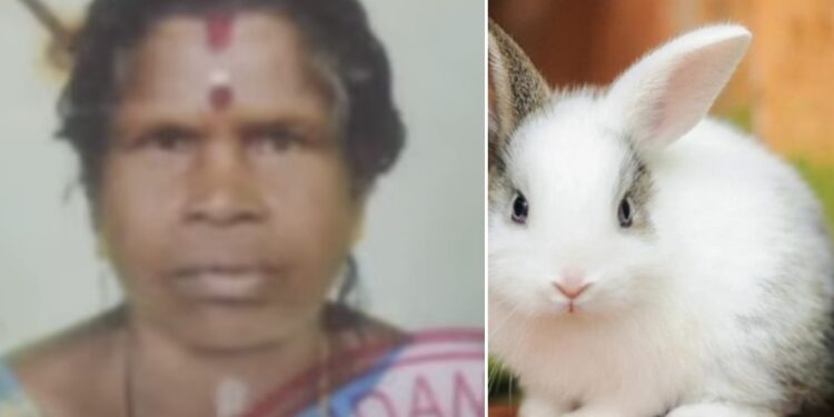  ಮೊಲ ಕಚ್ಚಿ ಪ್ರಾಣಬಿಟ್ಟ ಮಹಿಳೆ