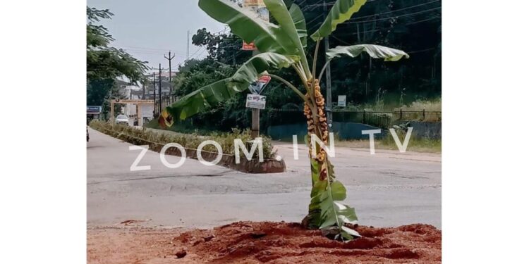 ಪುತ್ತೂರು: VC ಕ್ಯಾಂಪಸ್ ರಸ್ತೆಯಲ್ಲಿ ಹೊಂಡ : ಬಾಳೆ ಗಿಡ ನೆಟ್ಟು ಆಕ್ರೋಶ..!!!!