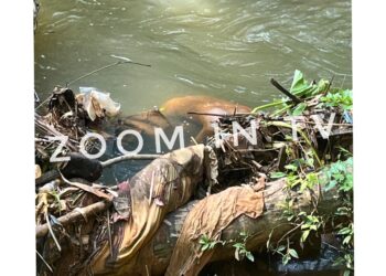 ಪುತ್ತೂರು: ತೋಡಿನಲ್ಲಿ ಅಪರಿಚಿತ ಶವ ಪತ್ತೆ..!!!