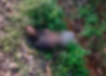 ಬಂಟ್ವಾಳ: ರೈಲ್ವೆ ಹಳಿಯ ಬಳಿ ಅಪರಿಚಿತ ಶವ ಪತ್ತೆ..!!