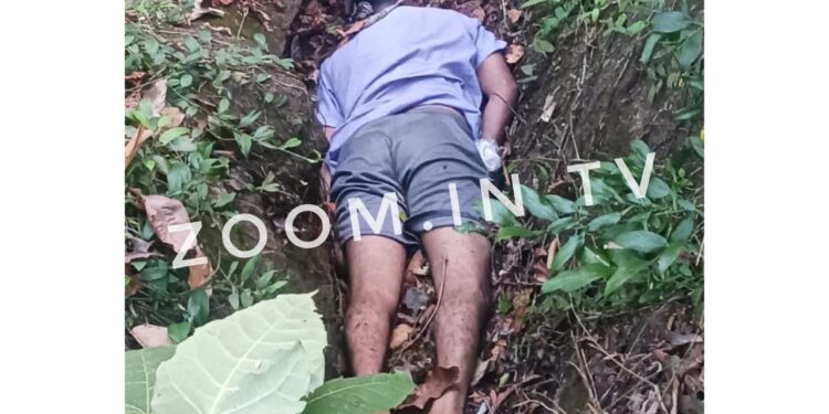 ಕಾಡಿಗೆ ಮದ್ದಿನ ಸೊಪ್ಪು ತರಲು ಹೋದ ವ್ಯಕ್ತಿ ಕುಸಿದು ಬಿದ್ದು ಸಾವು..!!