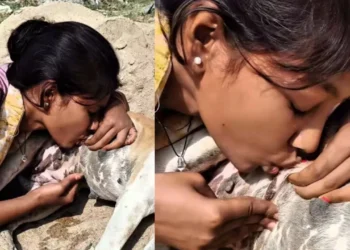 ನಾಯಿ ಮೊಲೆ ಚೀಪಿ ಹಾಲು ಕುಡಿದ ಯುವತಿ; ವಿಡಿಯೋ ವೈರಲ್‌