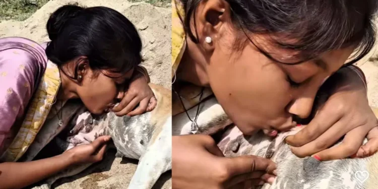 ನಾಯಿ ಮೊಲೆ ಚೀಪಿ ಹಾಲು ಕುಡಿದ ಯುವತಿ; ವಿಡಿಯೋ ವೈರಲ್