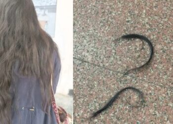 ಕಾಲೇಜ್ ಹುಡುಗಿಯ ಕೂದಲು ಕಟ್ ಮಾಡಿ ಓಡಿ ಹೋದ ಕಿಡಿಗೇಡಿ; ಪೊಲೀಸರಿಂದ ತನಿಖೆ..!!!