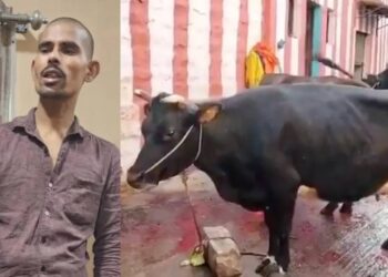 ಹಸುಗಳ ಕೆಚ್ಚಲು ಕೊಯ್ದ ಆರೋಪಿ ಸೈಯದ್ ನಸ್ರು ಮನಸ್ಥಿತಿ ಕಂಡು ಪೊಲೀಸರೇ ಶಾಕ್..!