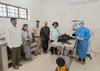 ನಾಯಿಯ ಸಾವಿನ ತನಿಖೆಗೆ ಇಳಿದ ಕಾಪು ಪೊಲೀಸರು…!!!