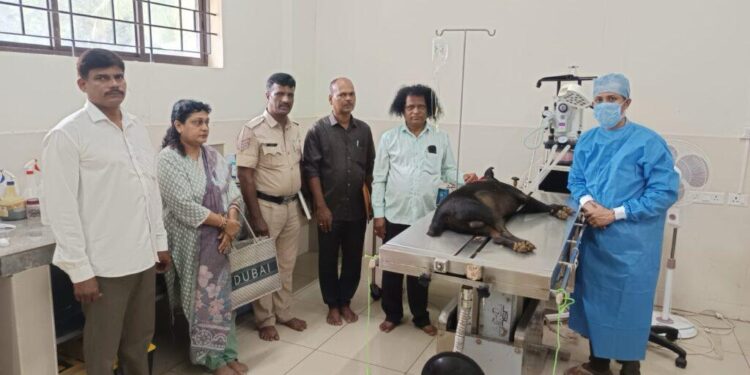 ನಾಯಿಯ ಸಾವಿನ ತನಿಖೆಗೆ ಇಳಿದ ಕಾಪು ಪೊಲೀಸರು…!!!