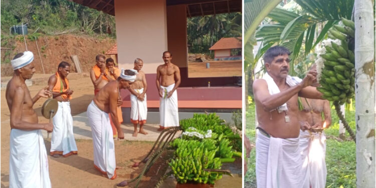 ಬಳಂತಿಮೊಗರು ಪರಿವಾರ ದೈವಗಳ ನೇಮೋತ್ಸವಕ್ಕೆ ಗೊನೆ ಮುಹೂರ್ತ…!!!