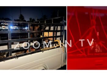 ಪುತ್ತೂರು: ಹಿಂಸಾತ್ಮಕ ರೀತಿಯಲ್ಲಿ ಗೋ ಸಾಗಾಟ: ಬಜರಂಗದಳ ಕಾರ್ಯಕರ್ತರಿಂದ ಪೊಲೀಸರಿಗೆ ಮಾಹಿತಿ..!!!!